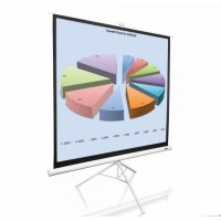 Екран Elite Screens на тринозі 85 (1:1) 152Х152 T85NWS1