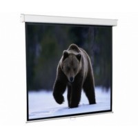 Экран для проектора настенный 274*206 Redleaf SGM-4305