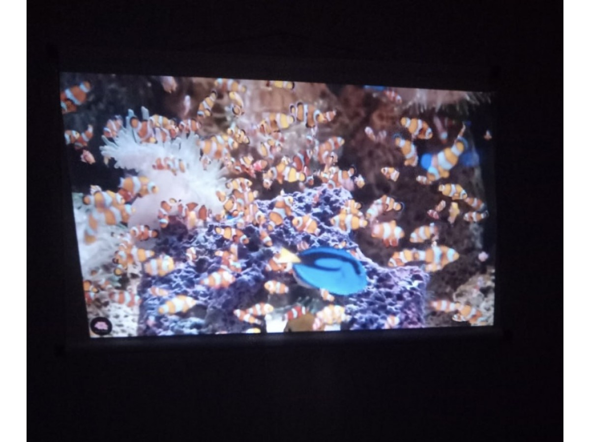 Екран від ПРО-ЕКРАН для домашнього перегляду