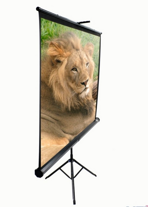 12t pro экран. Экран elite screens t99nws1. экран на штативе screenmedia apollo-t stm-1103. экран 85т. экран elite screens tripod t119nws1, напольный сломался.